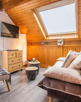 Duplex charmant proche centre et téléphérique avec parking et casier à skis - FR-1-296-359