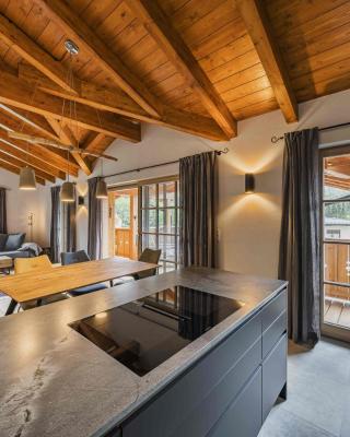 Dachstein West Apartment T4