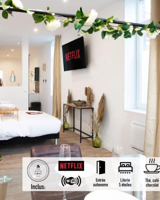 NG SuiteHome - Lille I Tourcoing Winoc - Balnéo - Netflix - Wifi