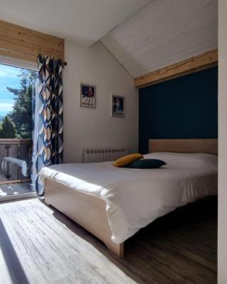 Mont Bivouac, chambre,entrée et Sdb privée,balcon vue MtBlanc