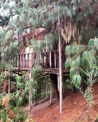 Cabin at Blueberry Farm