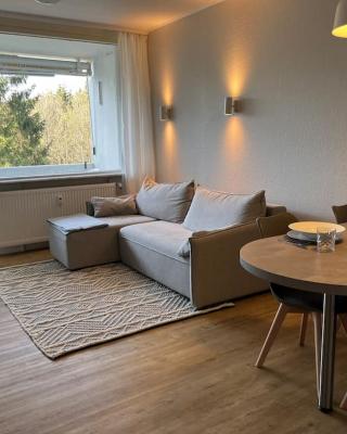 Hahnenklee‘r Berg-Glück II - modernes Apartment