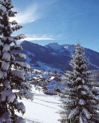 Studio centre Châtel avec coin montagne