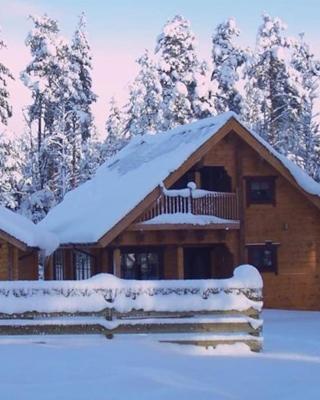 Norwegian Log Cabin The Roe Deer -sauna & hot tub