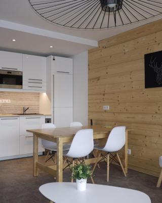 Les 2 Alpes - Charmant apt rénové 2 chambres, balcon, proche pistes - FR-1-546-32