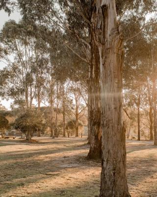 Eight Acres Lakes Entrance