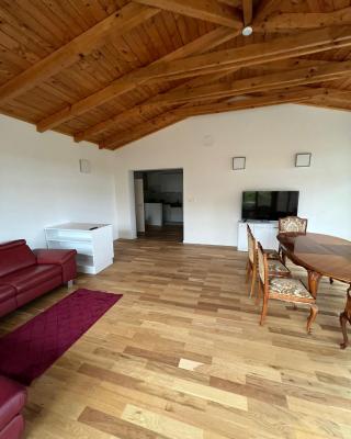 Pannonia Appartements