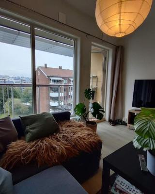 Spacious and cozy study apartment with balcony