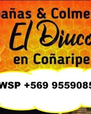 Cabañas El Diuco en Coñaripe 4