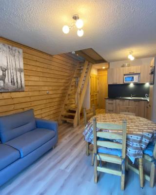 Appartement lumineux proche des pistes du Linga avec Multi Pass été à 3€/jour! - FR-1-693-21