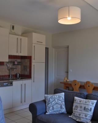 Appartement vaste et lumineux au centre-ville de Châtel avec Multi Pass été! - FR-1-693-31
