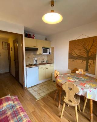 Studio confortable près du centre avec balcon et arrêt navettes - FR-1-693-61