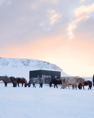 Akurgerði Guesthouse 6 - Country Life Style