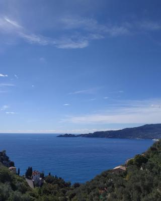 VILLA BARBARA