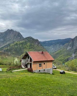 Family owned self sufficient ECO farm TARA