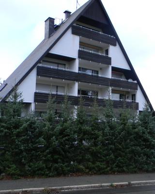 Schönwald Schwarzwaldhäuser Apartment 7