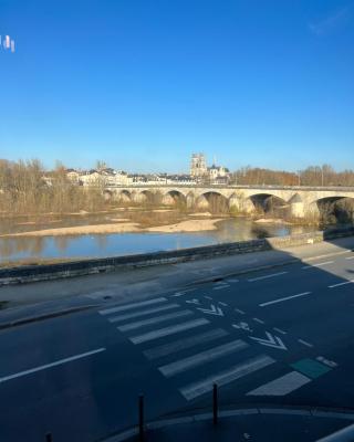 Cosy Loire, T2 neuf, front de Loire ,vue cathédrale,5min à pied centre ville et parking privé
