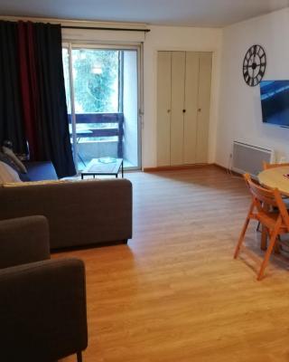 Appartement T2 Ax-les-thermes