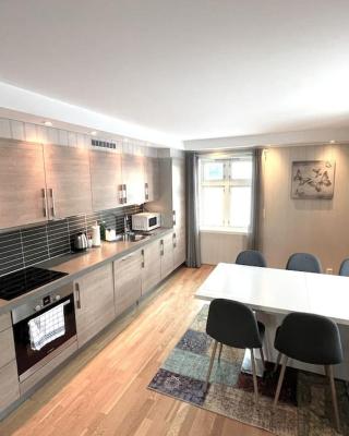 Skjomtind - Modern apartment with free parking