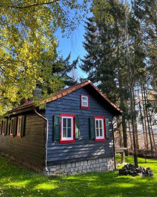 Steinbachhütte 1