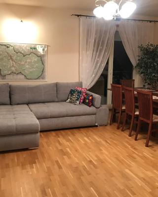 Apartament Jawornik