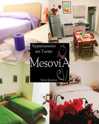Appartamento per Turisti Mesovia