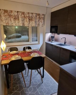 Apartment for four at the city center