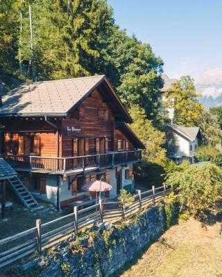 Chalet les Mésanges - Salvan