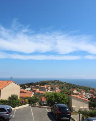 PORT-VENDRES - Appartement T2 avec parking, 4 pers, animaux admis - FR-1-309-266