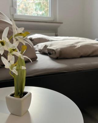 Schönes einfaches Zimmer in Oldenburg 109