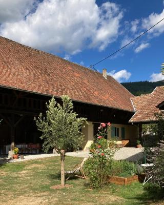 Gîte du Hibou - jolie dépendance sur verger