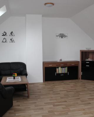 Apartmán Rapotín, Jesenická 296, 3km od Termálního parku Velké Losiny