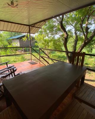 mango villa wilpattu