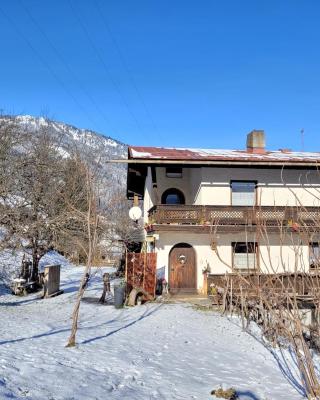 Ferienhaus Gastein