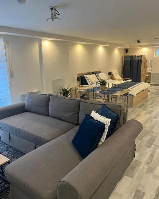 Très bel appartement type loft de 40 m2 dans maison avec parking privatif