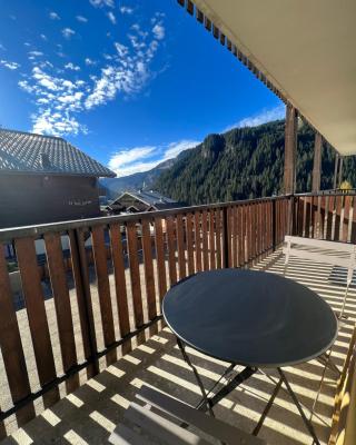 Bel appartement proche du centre de Châtel