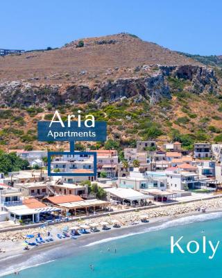 Aria apts 100 m from the beach by PosarelliVillas