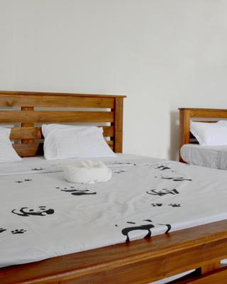 Paramata Accommodation