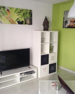 Beautiful 2 bedroom apartment near Puerto Rico beach