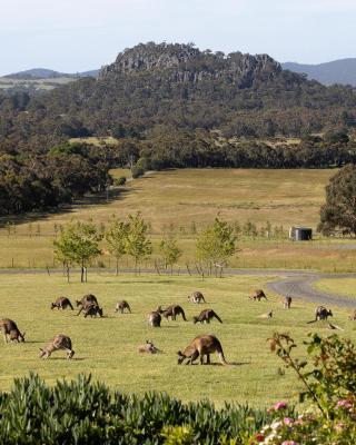 Hanging Rock Views