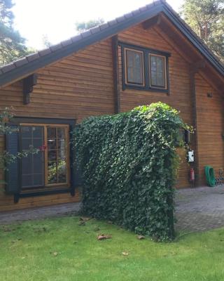 Houten chalet/bungalow in het bos, sauna, jacuzzi
