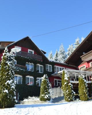 Landidyll-Hotel Nudelbacher