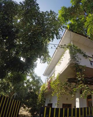 20 House Villa