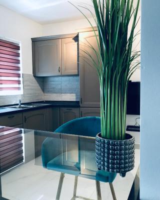 Zenith Apartment A20