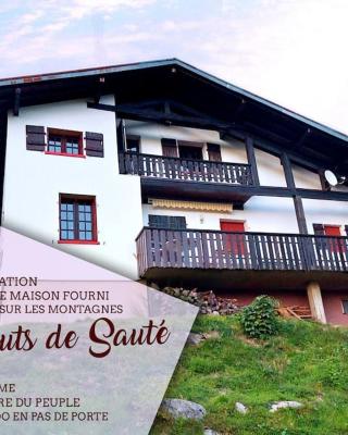 Le Haut de Sauté / Au pieds des pistes, Sauna et vue Imprenable sur les montagnes !