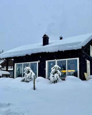 Great cabin in Hemsedal wifi golf ski eldorado