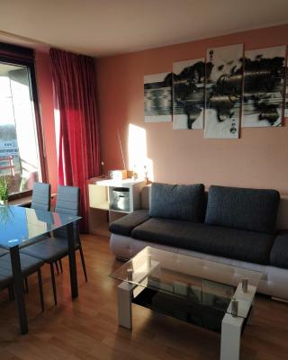 B1006, Schönes und gemütliches Appartement