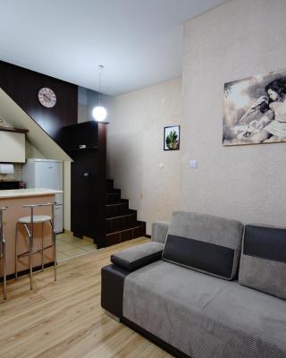 Apartament Lwowska