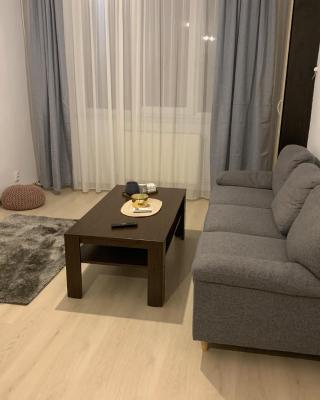 Confort Apartment