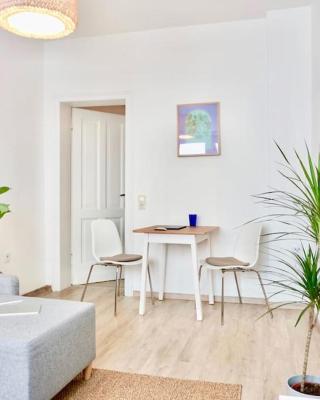 NEU I moderne zentrale Wohnung I Netflix I 4 Gäste